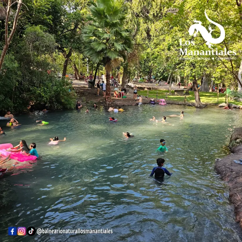 imagen recuadro Alberca natural del Balneario Los Manantiales Foto: Facebook oficial