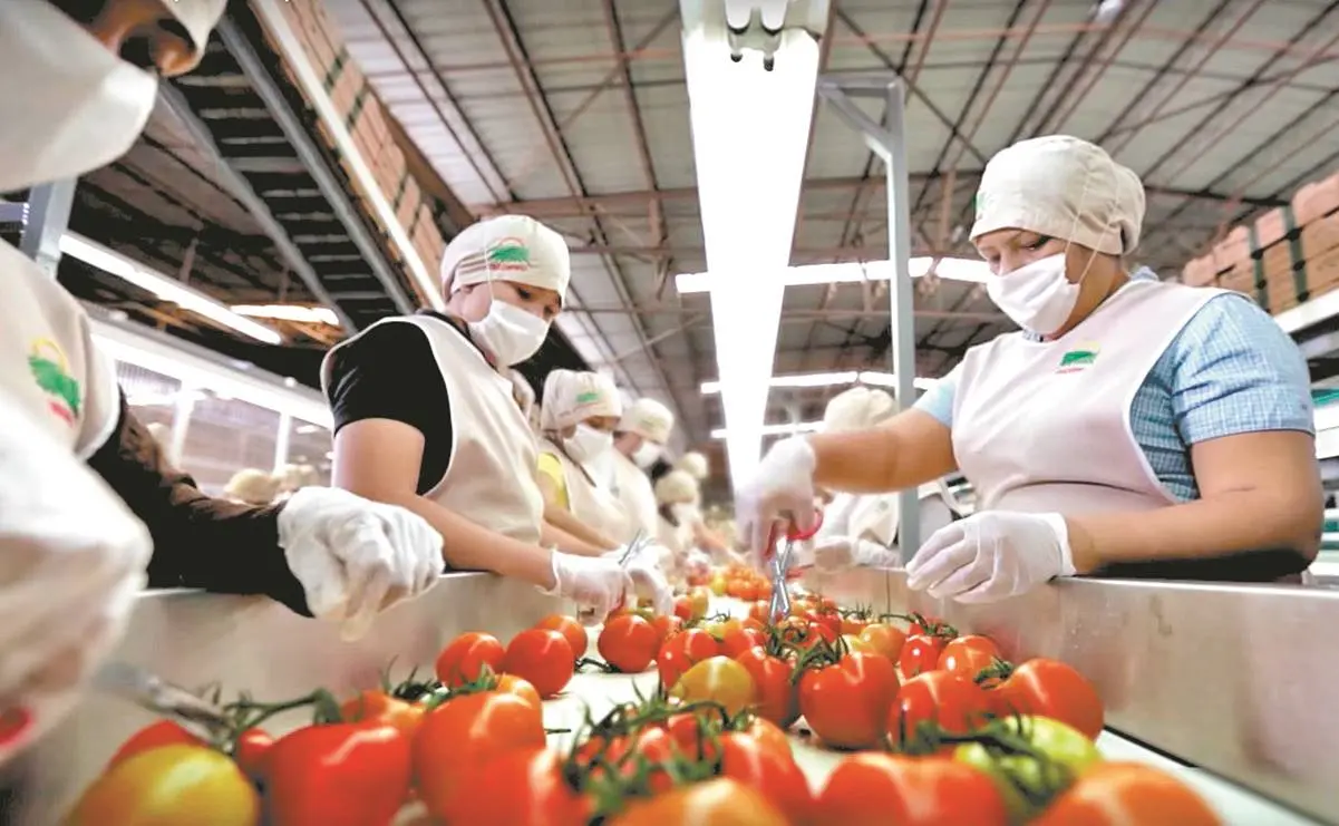 Sinaloa frente al empleo: retos, aprendizajes y nuevas oportunidades. Foto: Cortesía