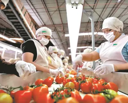 Empleo en Sinaloa 1er semestre 2025: entre desafíos y nuevas oportunidades