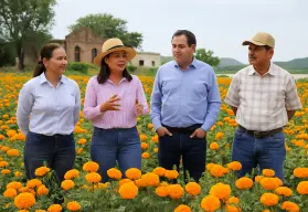 Guamúchil tendrá su propio campo de flor de cempasúchil