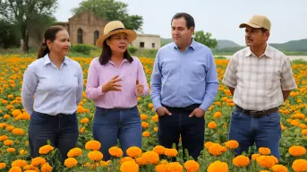 Guamúchil tendrá su propio campo de flor de cempasúchil