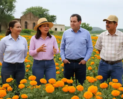 Guamúchil tendrá su propio campo de flor de cempasúchil