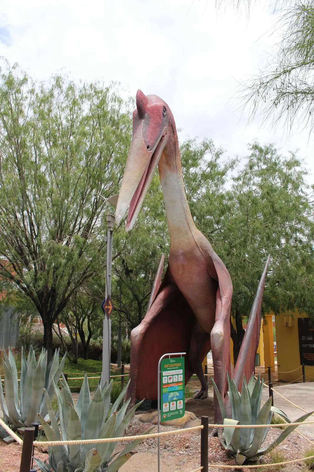 Museo interactivo La Rodadora para descubrir en el verano. Foto: Cortesía
