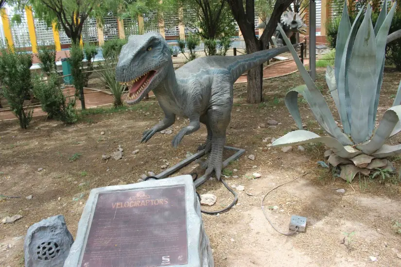 Museo interactivo La Rodadora, en Ciudad Juárez. Foto: Cortesía Museo interactivo La Rodadora, en Ciudad Juárez. Foto: Cortesía