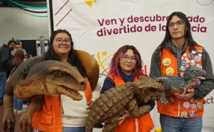 Museo interactivo La Rodadora en Ciudad Juárez; horarios y boleto de entrada