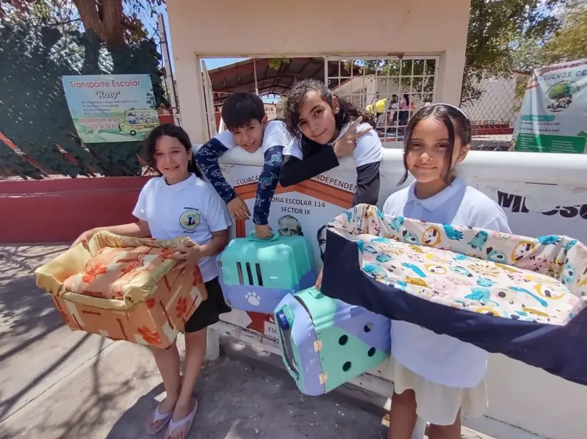 Pet Joy, el emprendimiento infantil que demuestra que cuidar del planeta y de los animales puede ir de la mano desde la infancia. Foto: Juan Madrigal