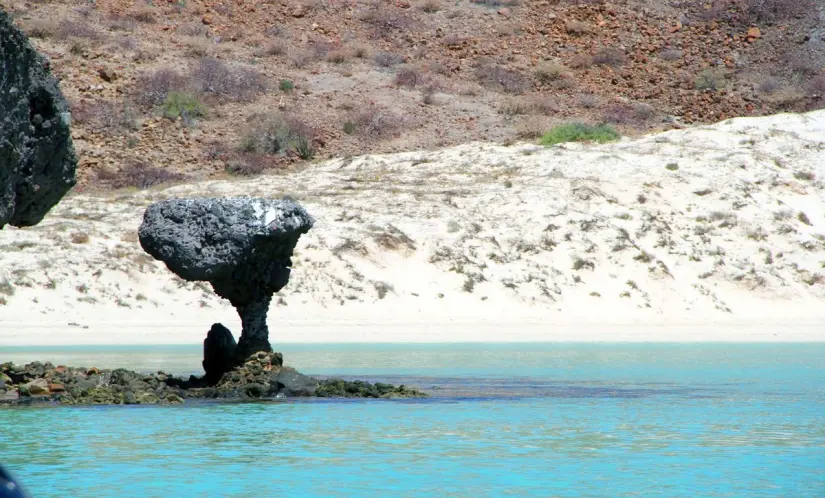 El acceso a Playa Balandra tiene un costo de 120 pesos. Foto: Cortesía. El acceso a Playa Balandra tiene un costo de 120 pesos. Foto: Cortesía.