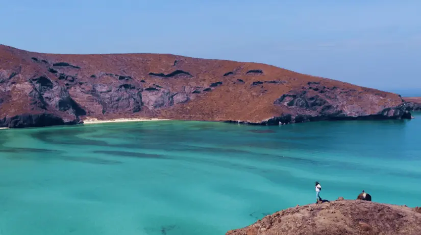 Viaja a Playa Balandra, en La Paz. Foto: Cortesía. Viaja a Playa Balandra, en La Paz. Foto: Cortesía.