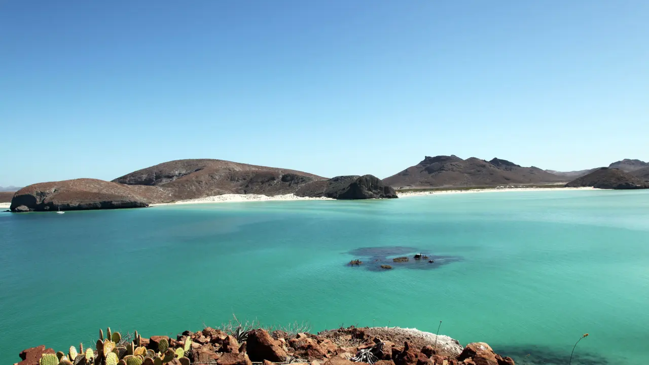 Estos son todos los detalles acerca de Playa Balandra, en La Paz. Foto: Cortesía.