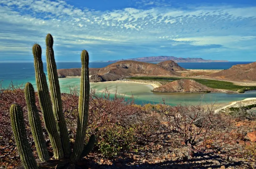 Conoce más detalles acerca de Playa Balandra, en La Paz. Foto: Cortesía. Conoce más detalles acerca de Playa Balandra, en La Paz. Foto: Cortesía.