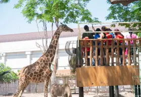 Redescubre Culiacán con tu familia: actividades, recorridos y diversión este verano