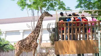 Redescubre Culiacán con tu familia: actividades, recorridos y diversión este verano