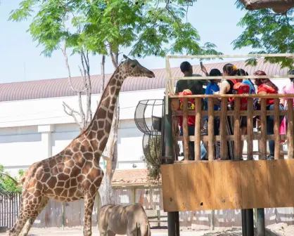 Redescubre Culiacán con tu familia: actividades, recorridos y diversión este verano