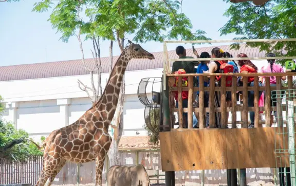 Redescubre Culiacán con tu familia: actividades, recorridos y diversión este verano