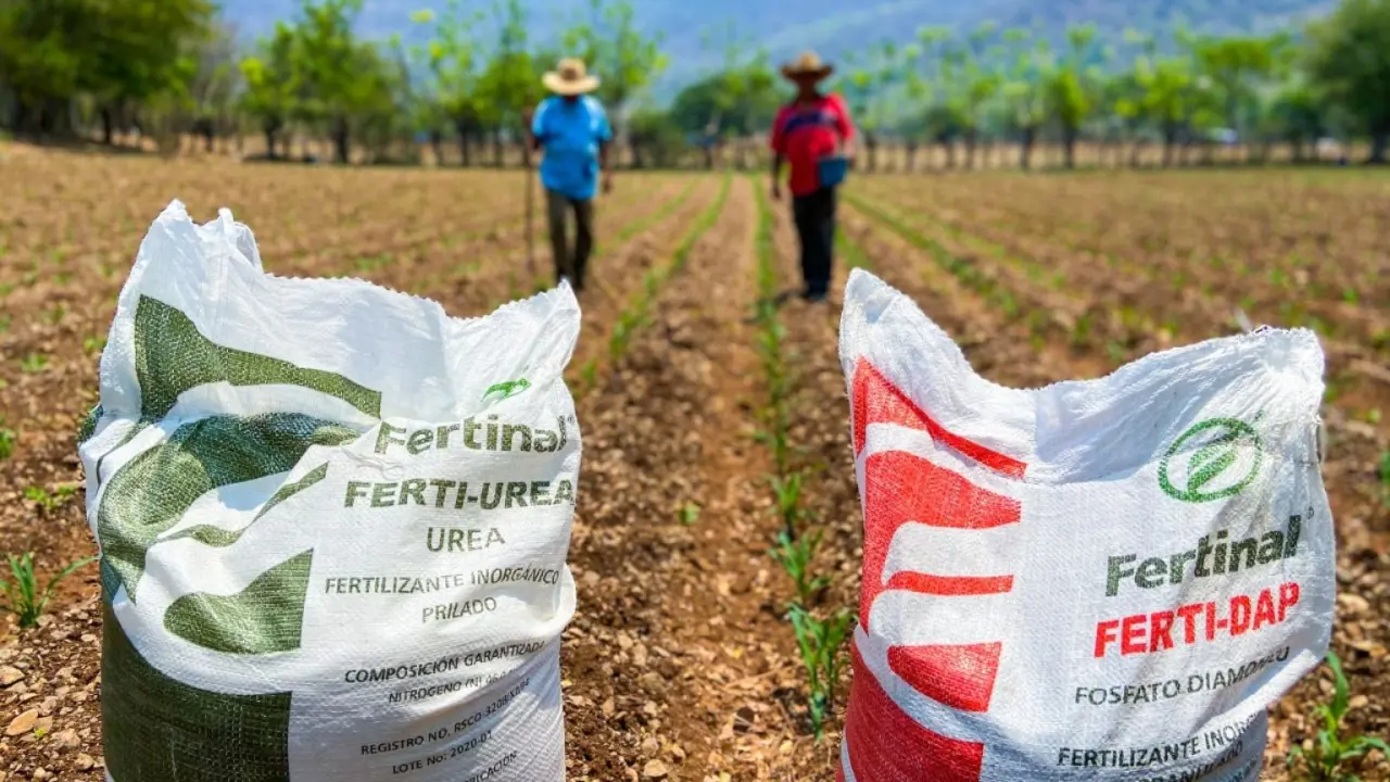 La convocatoria contempla nuevos registros, corrección de superficie y actualizaciones. Foto: Cortesía
