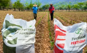 SADER abre convocatoria para nuevos ingresos a Fertilizantes para el Bienestar en Sinaloa