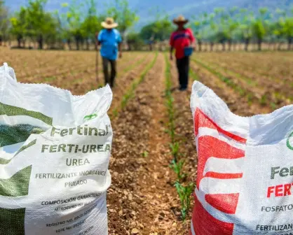SADER abre convocatoria para nuevos ingresos a Fertilizantes para el Bienestar en Sinaloa