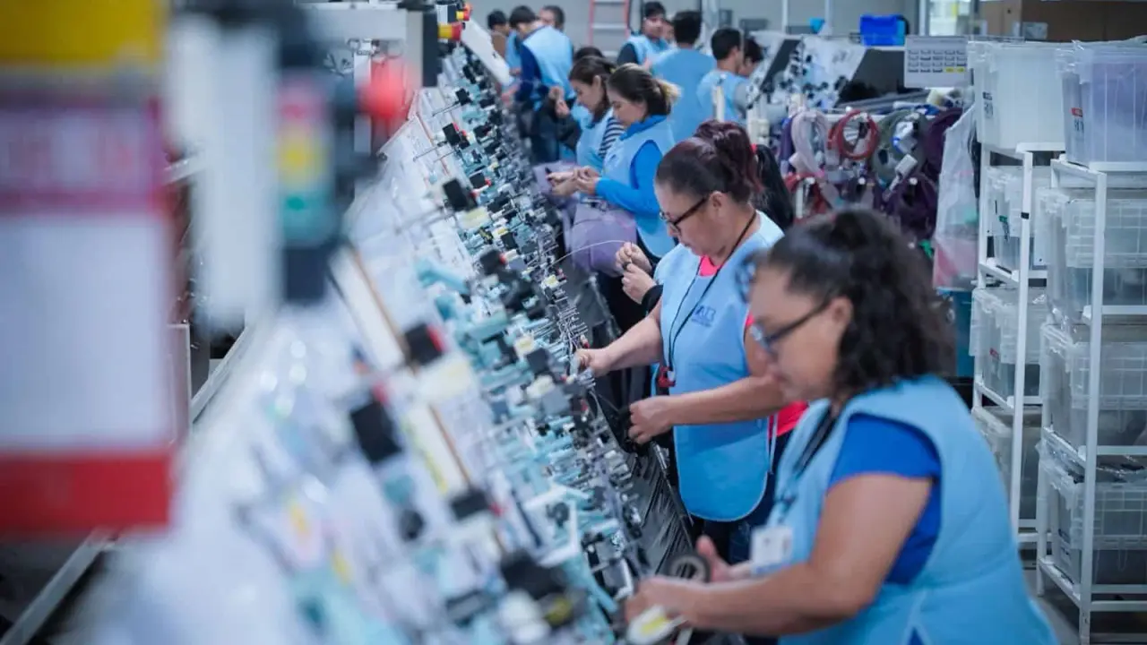 Municipios de Sinaloa que generan empleo y muestran caminos para avanzar. Foto: Cortesía