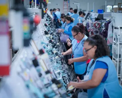 Empleo por municipio en Sinaloa: ¿Dónde se están generando nuevas oportunidades?