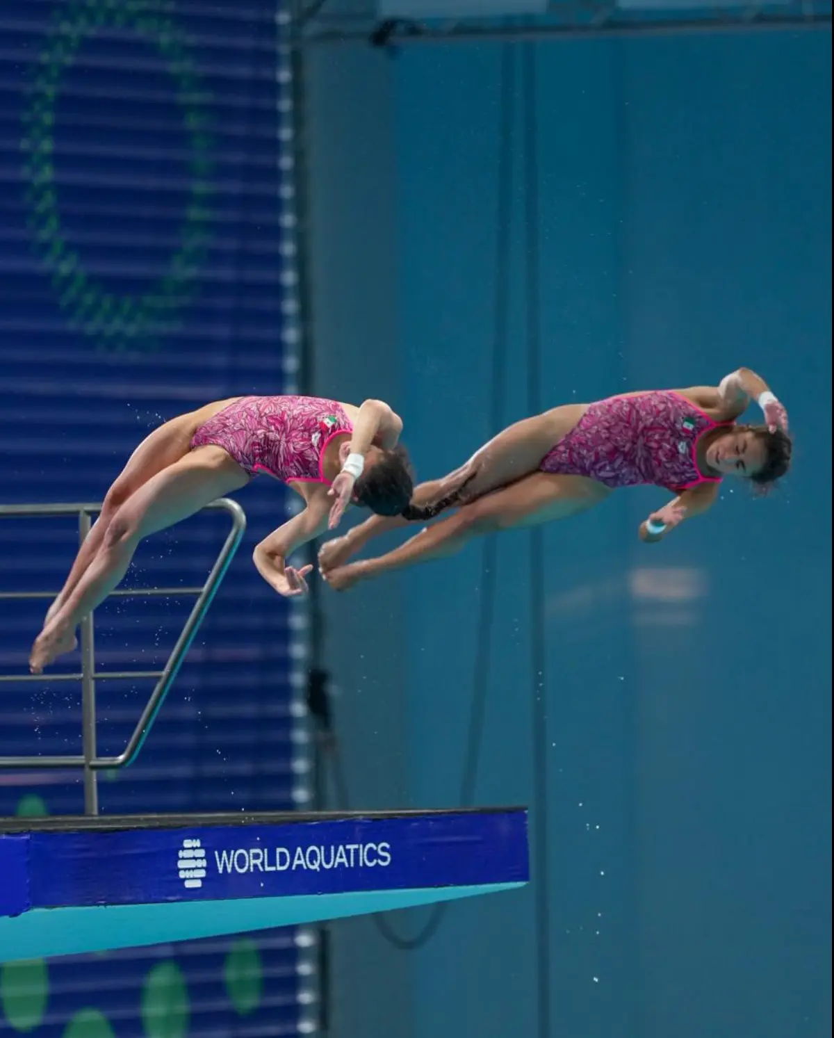 Clavadistas mexicanas ganan la plata en el Mundial de Deportes Acuáticos Singapur 2025. Foto: cortesía.