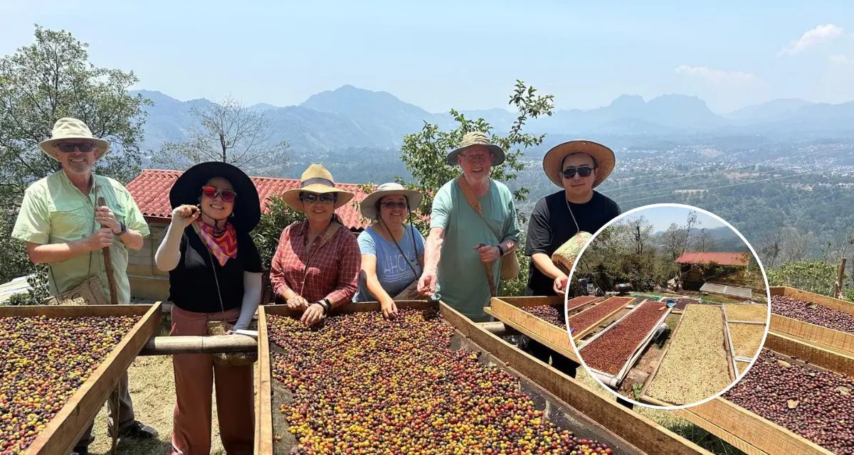 De esta manera puedes llegar hasta las fincas cafetaleras en Puebla. Foto: Cabañas Buenavista Huauchinango.