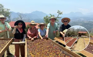 ¿Cómo llegar a las bellas fincas cafetaleras en Puebla?