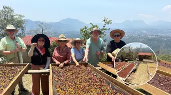 ¿Cómo llegar a las bellas fincas cafetaleras en Puebla?