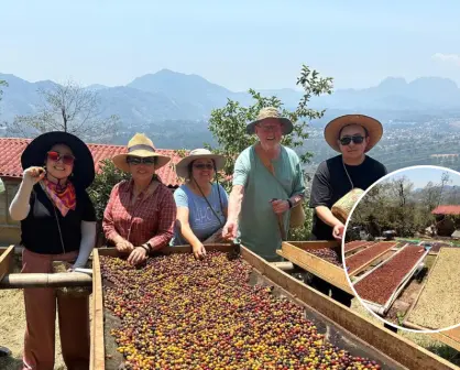 ¿Cómo llegar a las bellas fincas cafetaleras en Puebla?