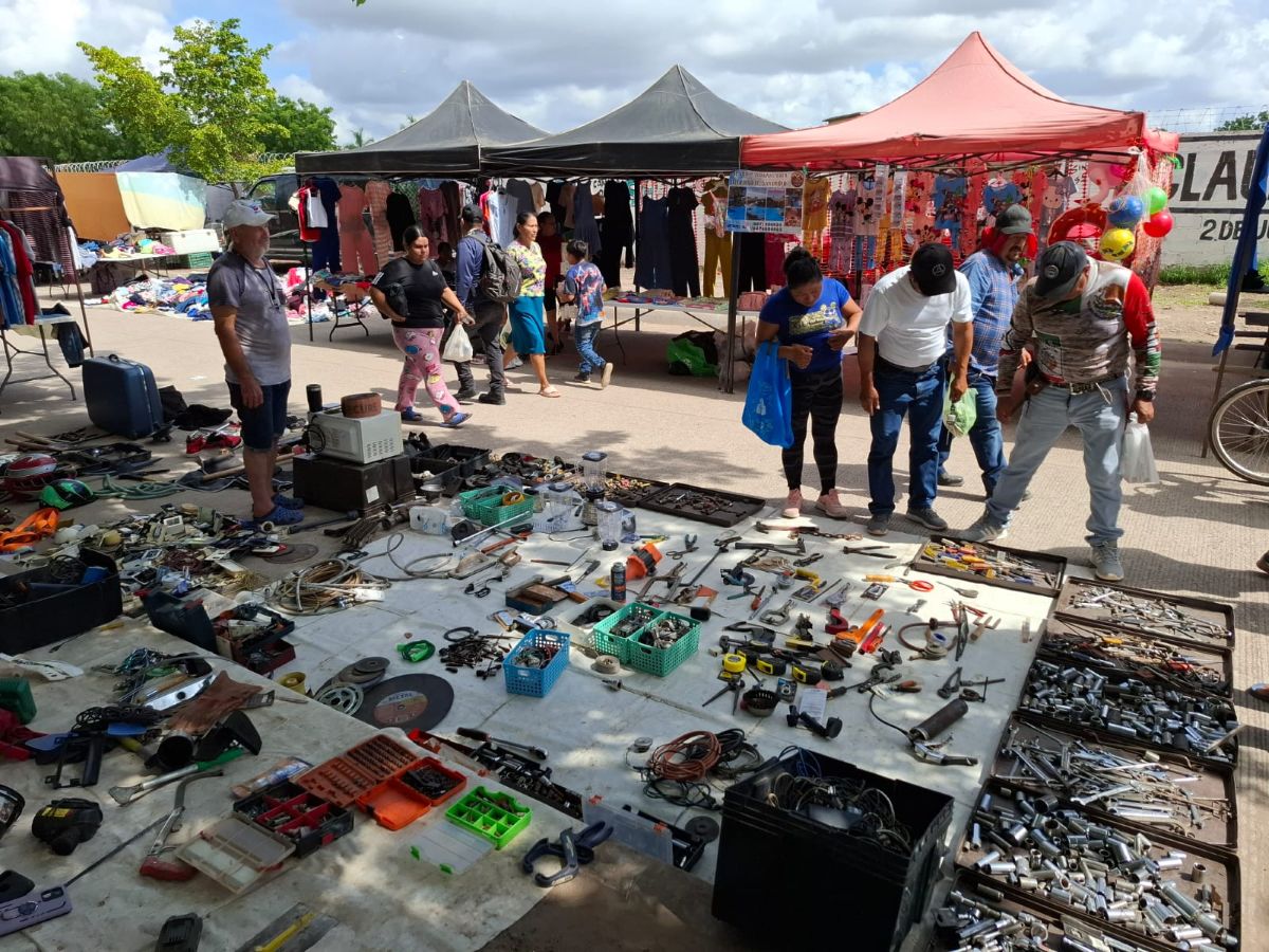 Imagen 2