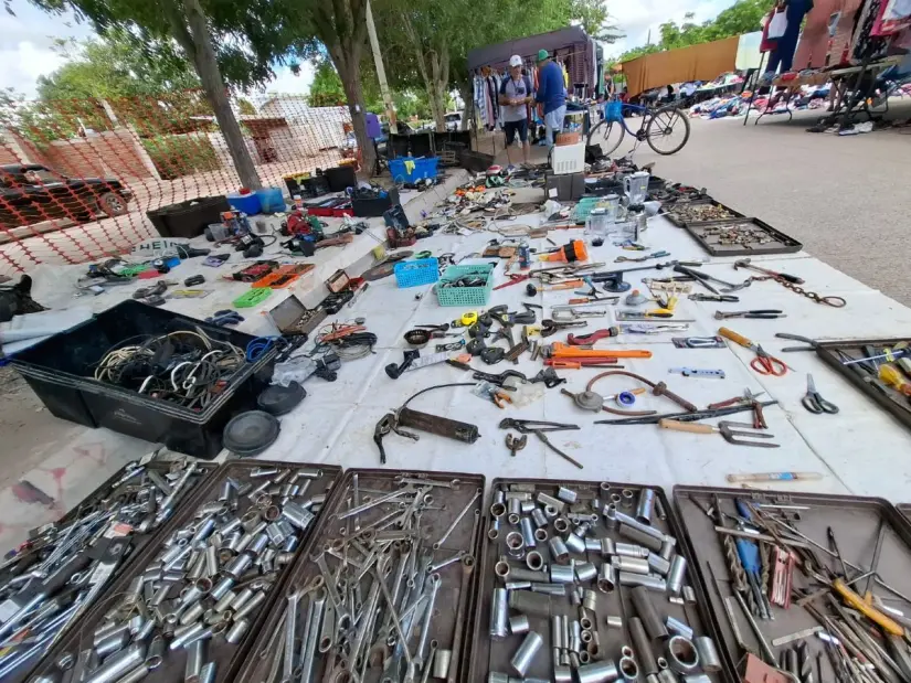 Diversidad de productos en el tianguis, diversidad de soluciones domésticas