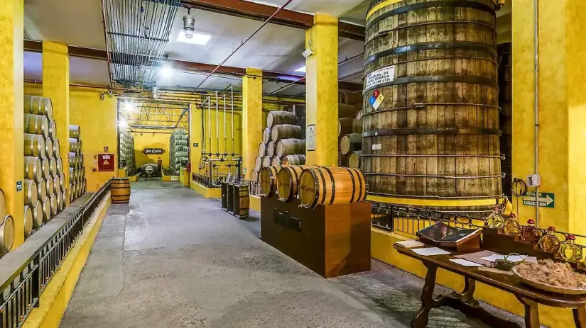 José Cuervo es el líder mundial de la producción de tequila. Foto: Cortesía