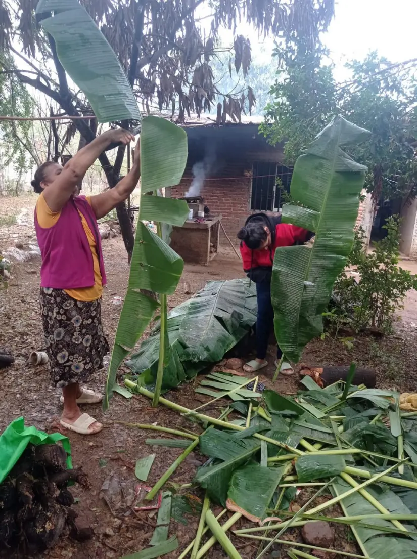 Preparación de la hoja de plátano para la elaboración de los tamales chiapanecos que se venden como pan caliente en San Ignacio. Preparación de la hoja de plátano para la elaboración de los tamales chiapanecos que se venden como pan caliente en San Ignacio. Foto: Yolanda Tenorio.
