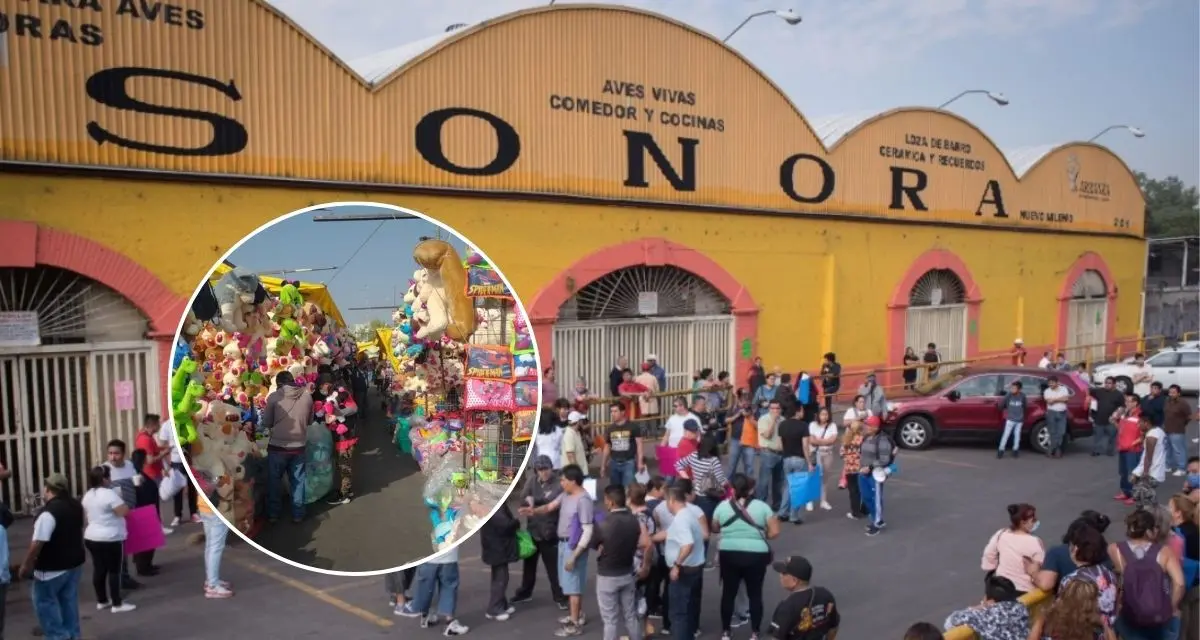 Entérate de los productos que puedes encontrar en el Mercado Sonora, CDMX. Foto: cortesía