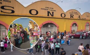 Mercado de Sonora: El rincón más místico de la CDMX que debes visitar al menos una vez