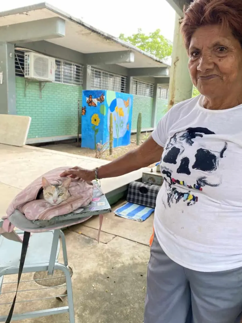 Con éxito se llevó a cabo la campaña de esterilización de perros y gatos.