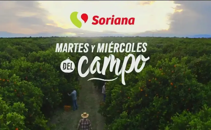 Martes y Miércoles del Campo: ofertas de Soriana del 29 y 30 de julio El Martes y Miércoles del Campo se distingue por sus ofertas en frutas y verduras. Foto: Soriana