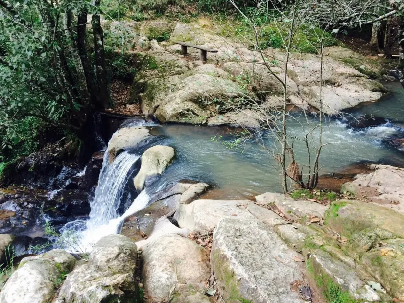 Conoce todos los detalles acerca de la Cascada El Salto. Foto: Tripadvisor. Conoce todos los detalles acerca de la Cascada El Salto. Foto: Tripadvisor.
