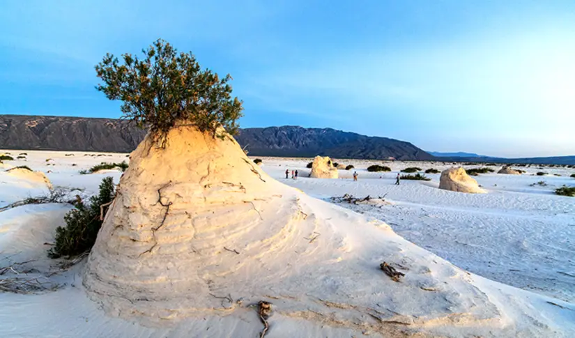 Sorpréndete con las belleza de las Dunas de Yeso en Cuatro Ciénegas. Foto: cortesía Sorpréndete con las belleza de las Dunas de Yeso en Cuatro Ciénegas. Foto: cortesía.