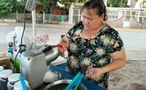Debajo de la sombra de un árbol en Navolato, Noelia levanta su negocio con la venta de snacks