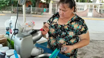 Debajo de la sombra de un árbol en Navolato, Noelia levanta su negocio con la venta de snacks