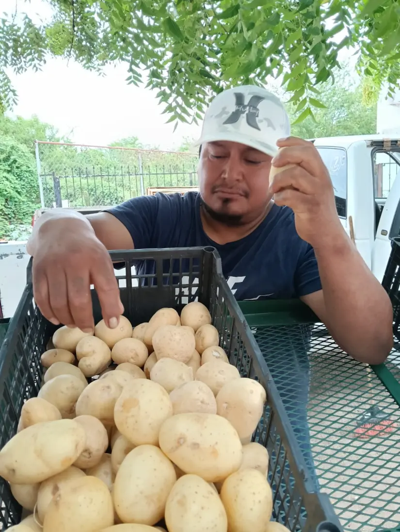 Don Agustin cuida la calidad de los productos que vende en su puesto de verduras.