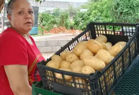 Con precios justos, Adela y Agustín venden frutas y verduras en Alturas del Sur