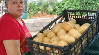 Con precios justos, Adela y Agustín venden frutas y verduras en Alturas del Sur