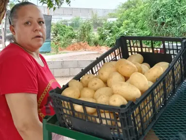 Con precios justos, Adela y Agustín venden frutas y verduras en Alturas del Sur