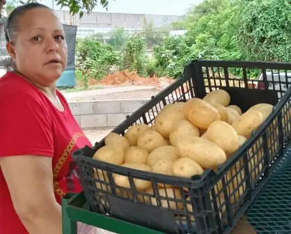 Con precios justos, Adela y Agustín venden frutas y verduras en Alturas del Sur