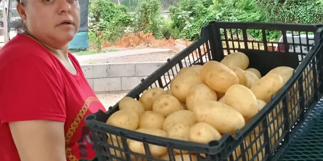 Con precios justos, Adela y Agustín venden frutas y verduras en Alturas del Sur
