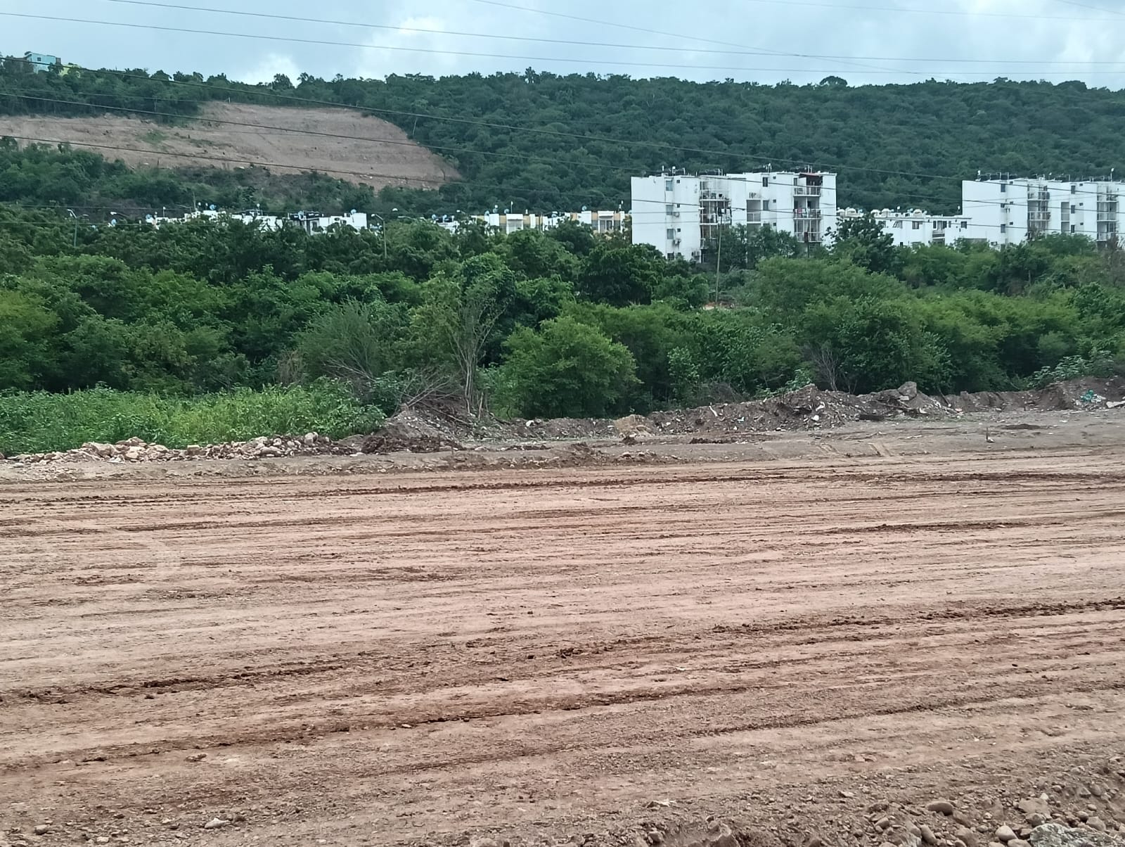 Imagen 5
