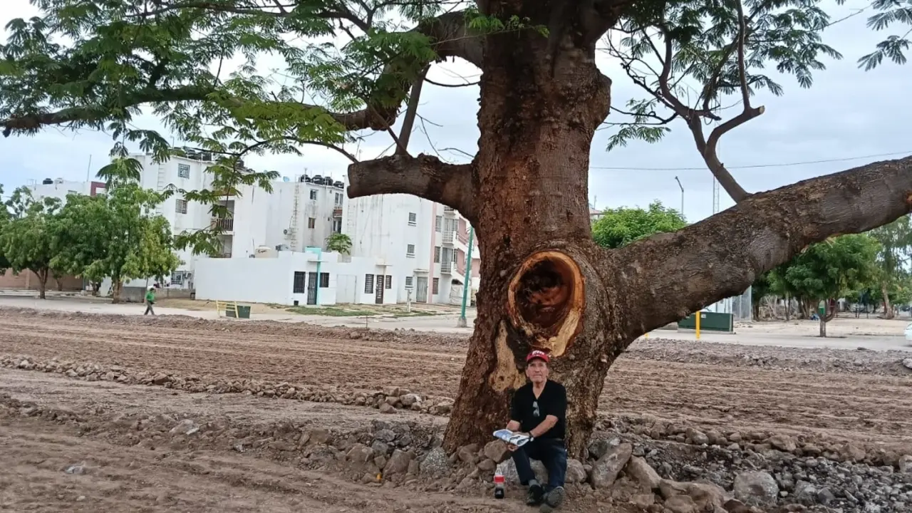 Descubre la emotiva historia de Don Samuel y su lucha por la conservación del Huanacaxtle en Alturas del Sur