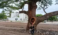 Don Samuel, el guardián del Huanacaxtle en Alturas del Sur