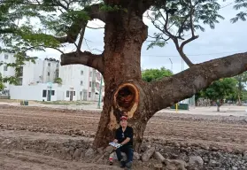 Don Samuel, el guardián del Huanacaxtle en Alturas del Sur